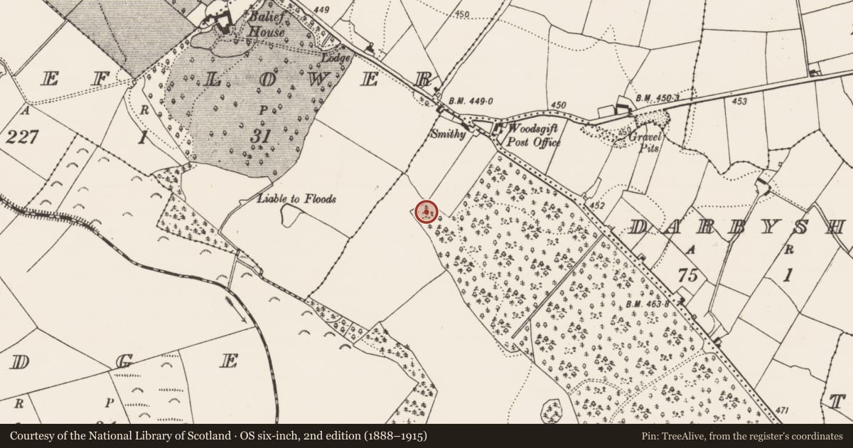 Ordnance Survey six-inch map, 2nd edition (1888–1915) covering the location of Building, Woodsgift, County Kilkenny, with a pin at the register's coordinates