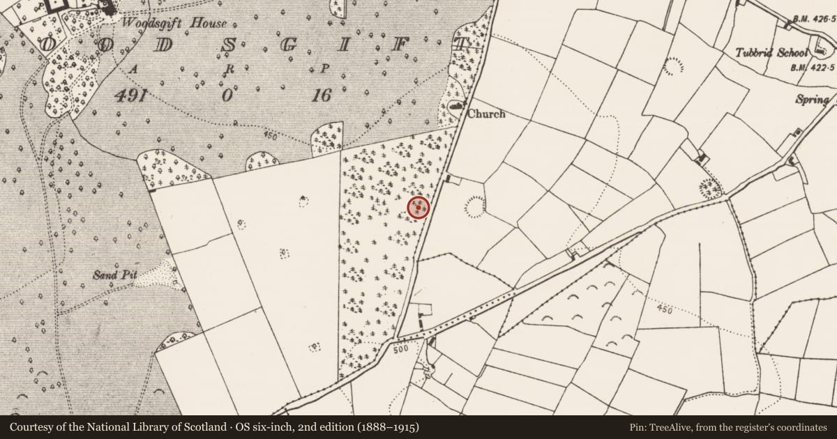 Ordnance Survey six-inch map, 2nd edition (1888–1915) covering the location of Field system, Woodsgift, County Kilkenny, with a pin at the register's coordinates