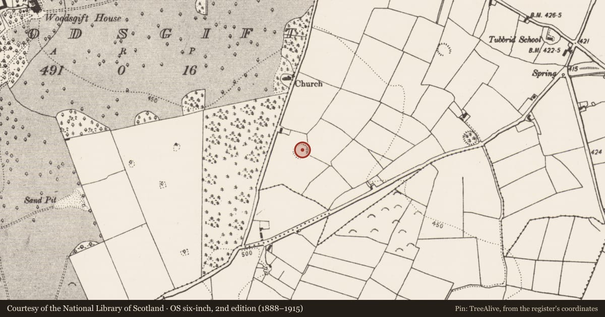 Ordnance Survey six-inch map, 2nd edition (1888–1915) covering the location of Ringfort - rath, Tubbrid Lower, County Kilkenny, with a pin at the register's coordinates