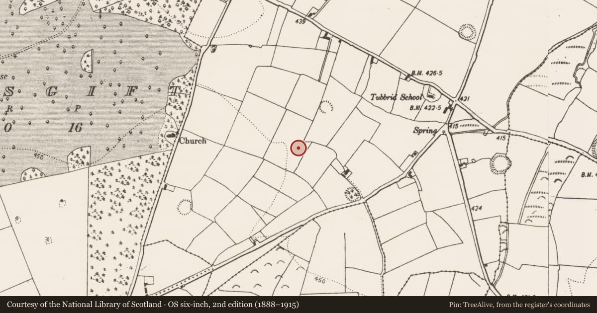 Ordnance Survey six-inch map, 2nd edition (1888–1915) covering the location of Enclosure, Tubbrid Lower, County Kilkenny, with a pin at the register's coordinates