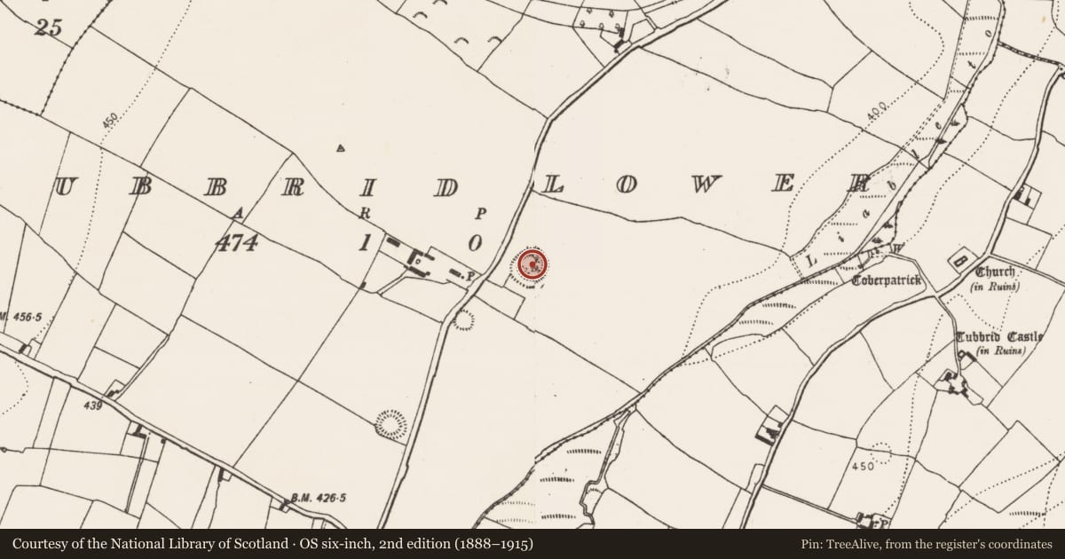 Ordnance Survey six-inch map, 2nd edition (1888–1915) covering the location of Ringfort - rath, Tubbrid Lower, County Kilkenny, with a pin at the register's coordinates