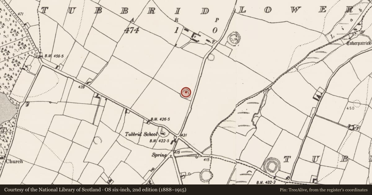 Ordnance Survey six-inch map, 2nd edition (1888–1915) covering the location of Ringfort - rath, Tubbrid Lower, County Kilkenny, with a pin at the register's coordinates