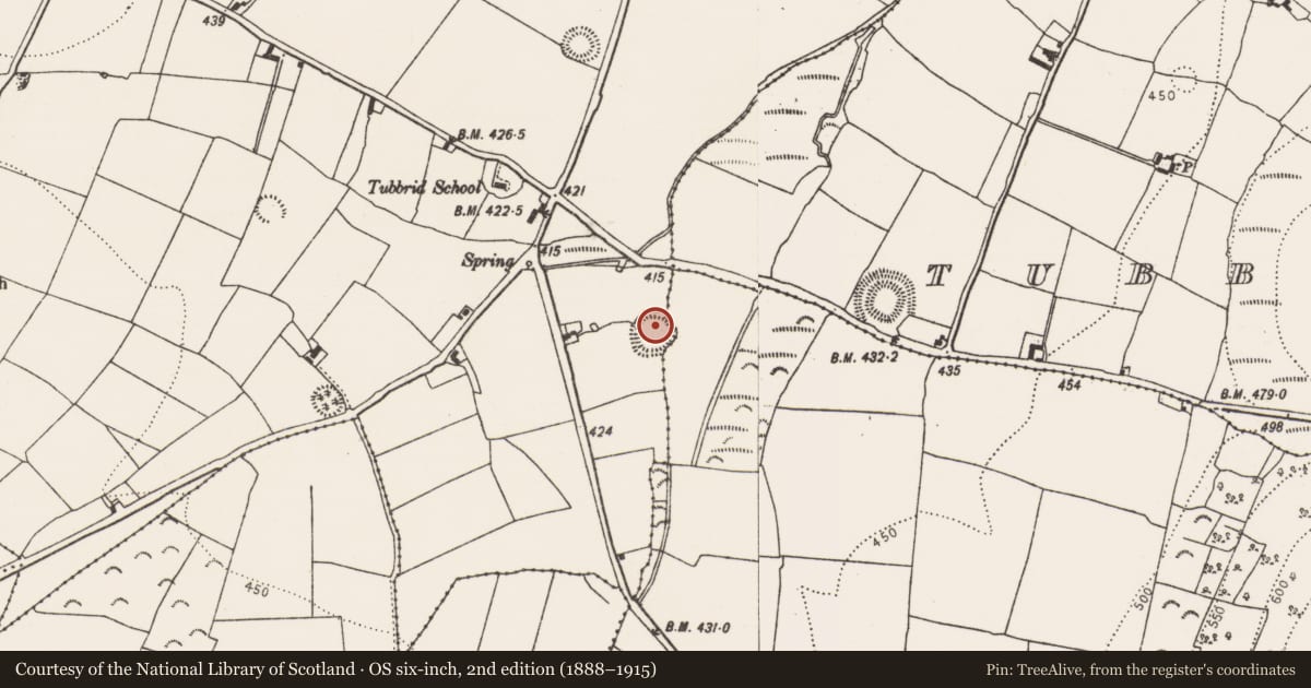 Ordnance Survey six-inch map, 2nd edition (1888–1915) covering the location of Ringfort - rath, Tubbrid Lower, County Kilkenny, with a pin at the register's coordinates
