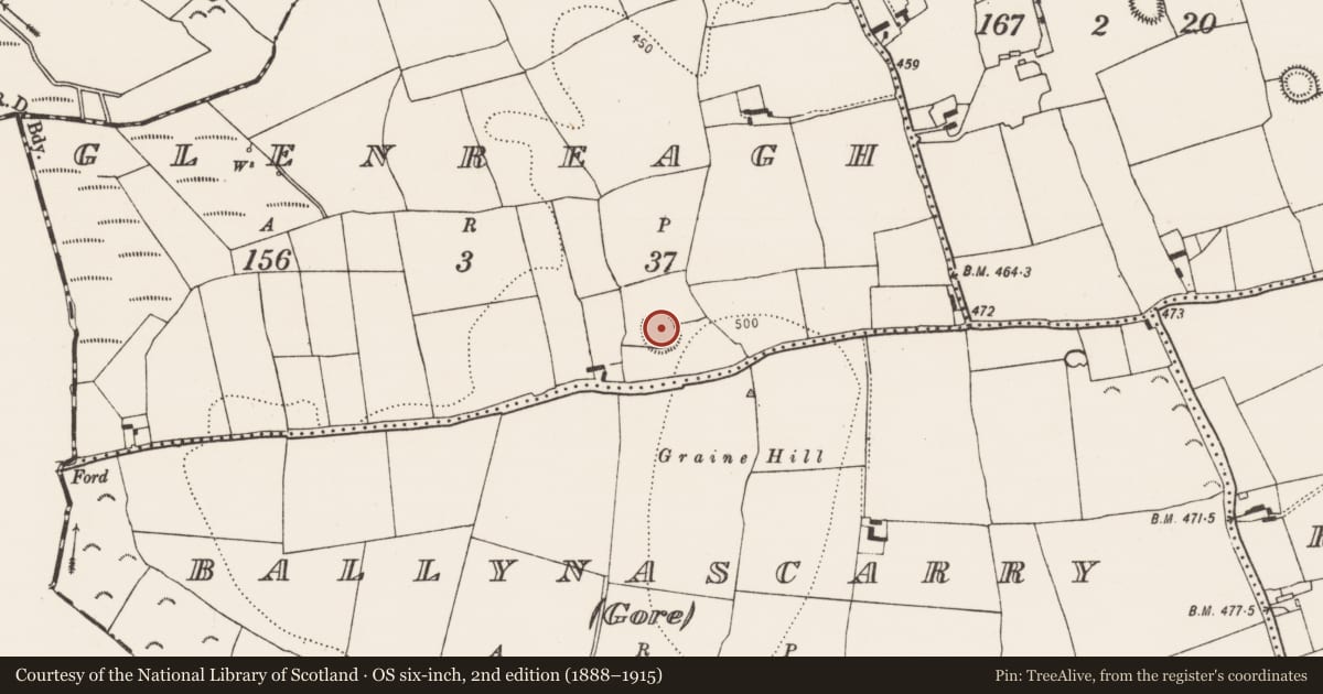 Ordnance Survey six-inch map, 2nd edition (1888–1915) covering the location of Ringfort - rath, Glenreagh, County Kilkenny, with a pin at the register's coordinates