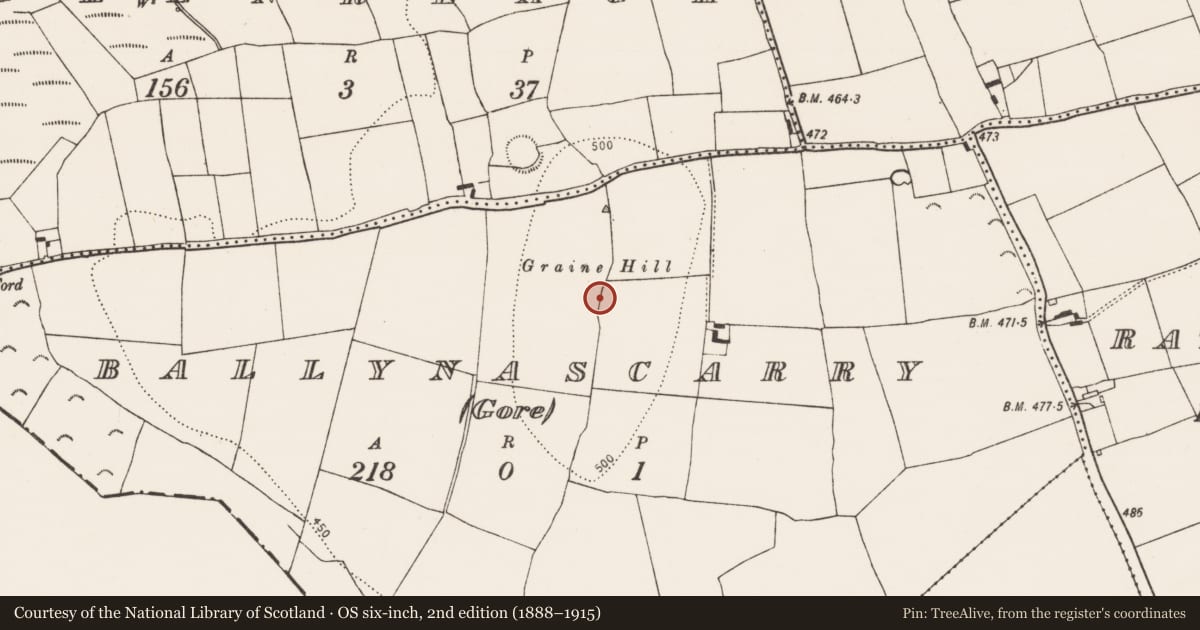 Ordnance Survey six-inch map, 2nd edition (1888–1915) covering the location of Field boundary, Ballynascarry (Gore), County Kilkenny, with a pin at the register's coordinates