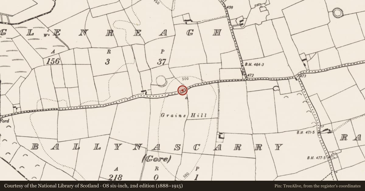 Ordnance Survey six-inch map, 2nd edition (1888–1915) covering the location of Road - road/trackway, Ballynascarry (Gore), County Kilkenny, with a pin at the register's coordinates