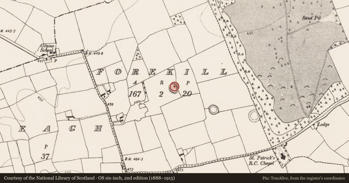 Ordnance Survey six-inch map, 2nd edition (1888–1915) covering the location of Ringfort - rath, Forekill, County Kilkenny, with a pin at the register's coordinates