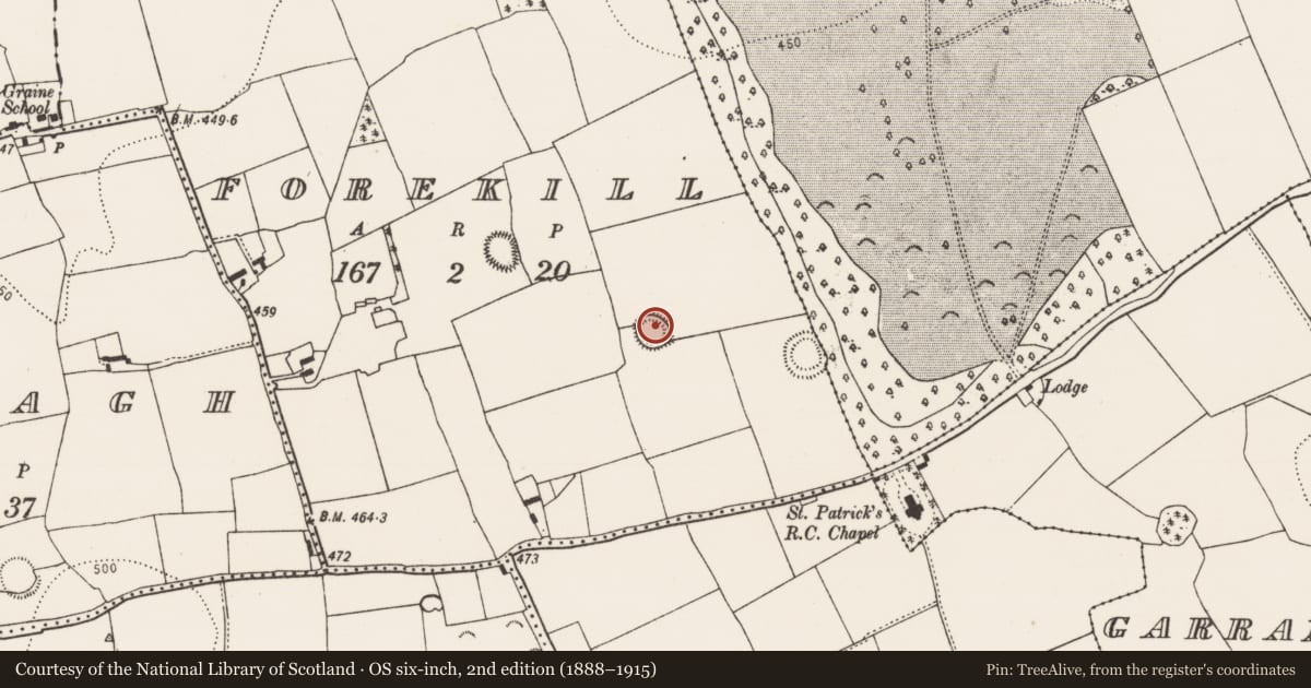 Ordnance Survey six-inch map, 2nd edition (1888–1915) covering the location of Ringfort - rath, Forekill, County Kilkenny, with a pin at the register's coordinates