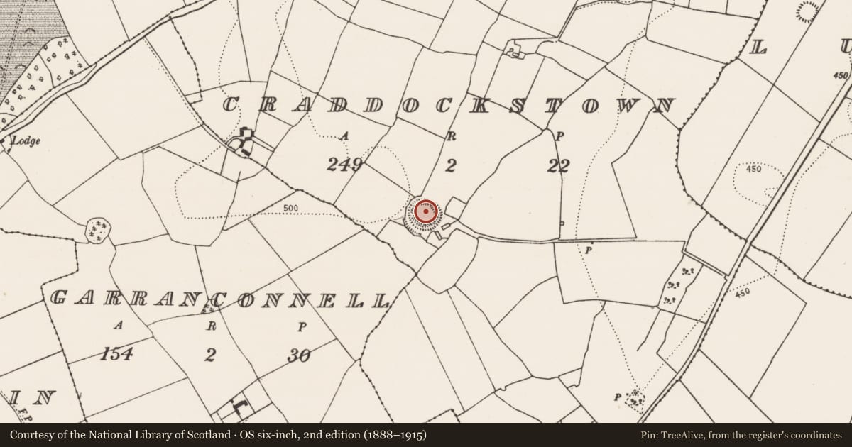 Ordnance Survey six-inch map, 2nd edition (1888–1915) covering the location of Castle - ringwork, Craddockstown, County Kilkenny, with a pin at the register's coordinates