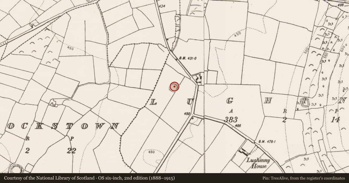 Ordnance Survey six-inch map, 2nd edition (1888–1915) covering the location of Enclosure, Lughinny, County Kilkenny, with a pin at the register's coordinates