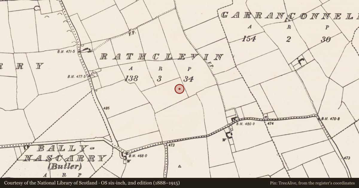 Ordnance Survey six-inch map, 2nd edition (1888–1915) covering the location of Enclosure, Rathclevin, County Kilkenny, with a pin at the register's coordinates