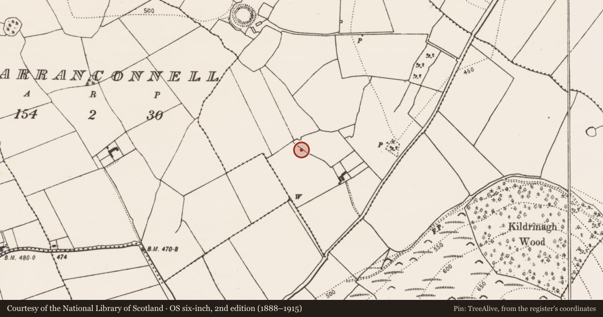 Ordnance Survey six-inch map, 2nd edition (1888–1915) covering the location of Enclosure, Craddockstown, County Kilkenny, with a pin at the register's coordinates