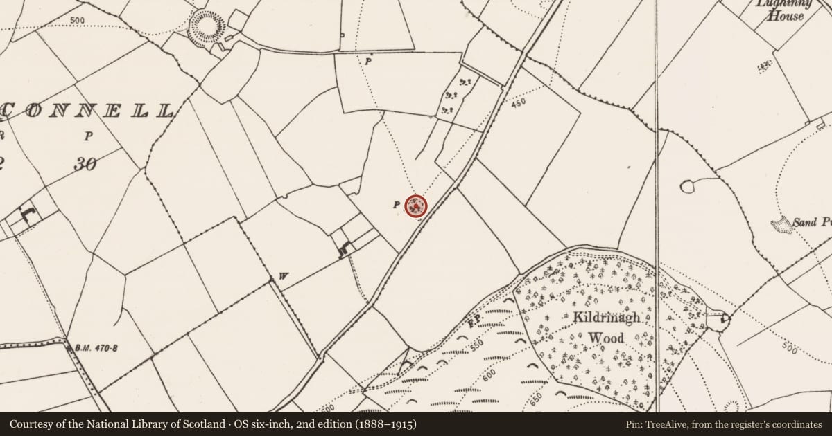 Ordnance Survey six-inch map, 2nd edition (1888–1915) covering the location of Enclosure, Craddockstown, County Kilkenny, with a pin at the register's coordinates