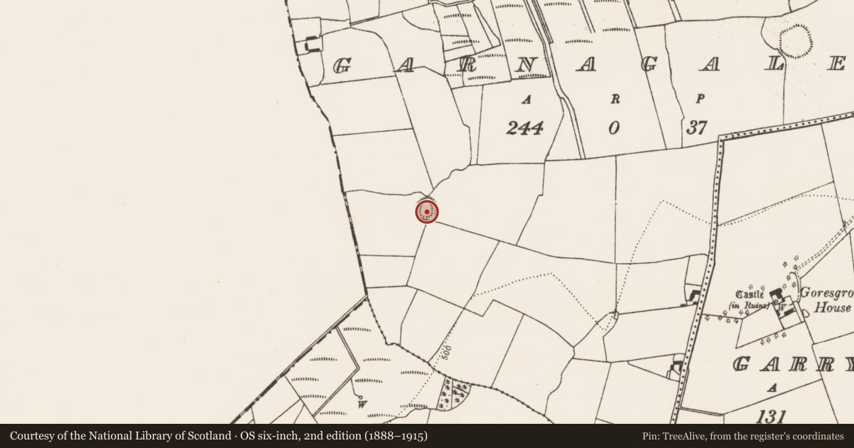 Ordnance Survey six-inch map, 2nd edition (1888–1915) covering the location of Ringfort - rath, Garnagale, County Kilkenny, with a pin at the register's coordinates