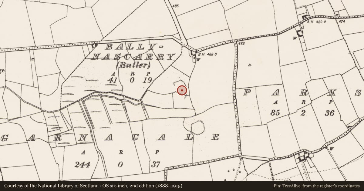 Ordnance Survey six-inch map, 2nd edition (1888–1915) covering the location of Ringfort - rath, Garnagale, County Kilkenny, with a pin at the register's coordinates