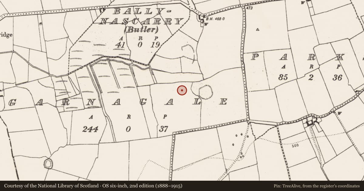 Ordnance Survey six-inch map, 2nd edition (1888–1915) covering the location of Field boundary, Garnagale, County Kilkenny, with a pin at the register's coordinates