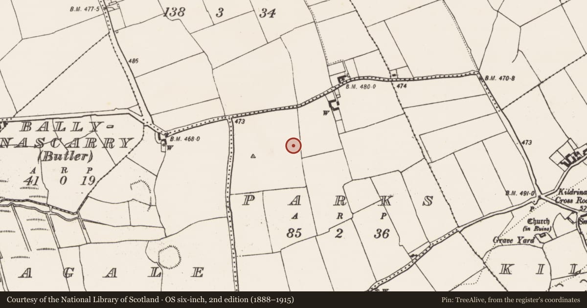 Ordnance Survey six-inch map, 2nd edition (1888–1915) covering the location of Enclosure, Parks, County Kilkenny, with a pin at the register's coordinates