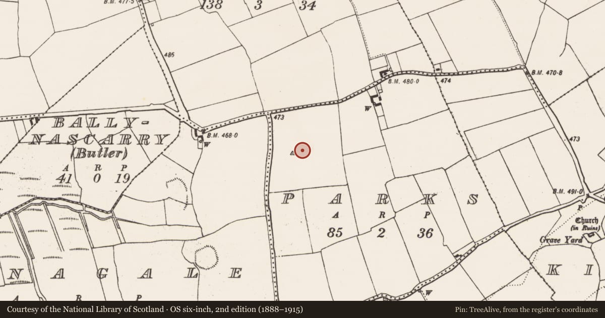 Ordnance Survey six-inch map, 2nd edition (1888–1915) covering the location of Ring-ditch, Parks, County Kilkenny, with a pin at the register's coordinates