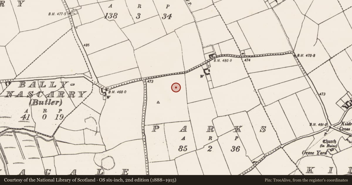 Ordnance Survey six-inch map, 2nd edition (1888–1915) covering the location of Field boundary, Parks, County Kilkenny, with a pin at the register's coordinates
