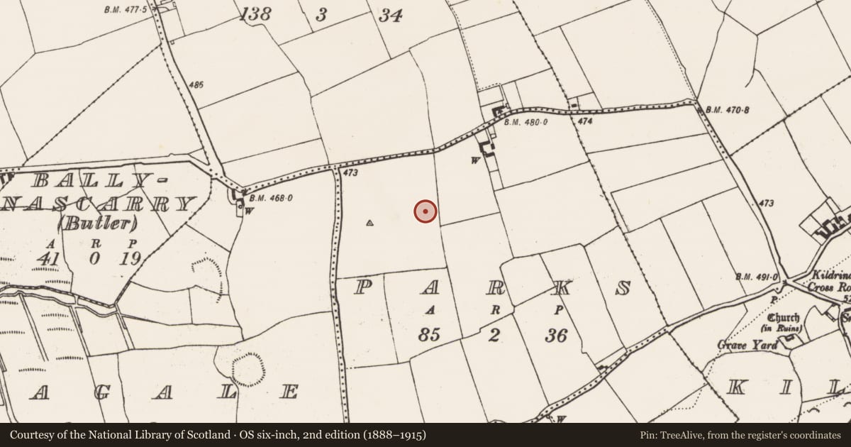 Ordnance Survey six-inch map, 2nd edition (1888–1915) covering the location of Ring-ditch, Parks, County Kilkenny, with a pin at the register's coordinates