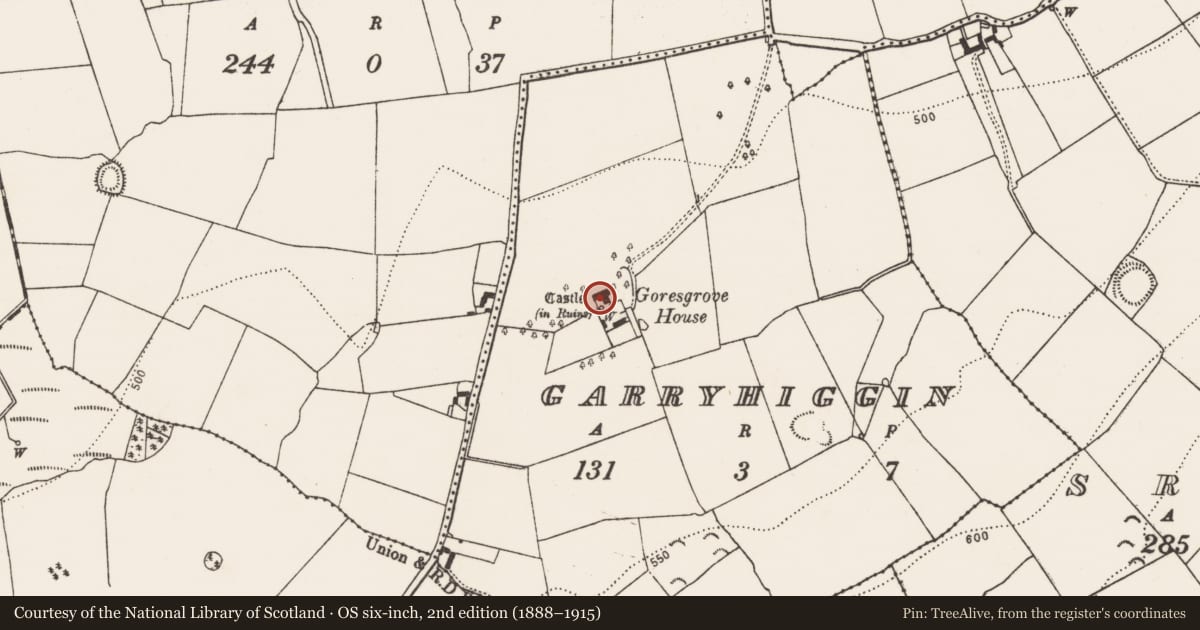 Ordnance Survey six-inch map, 2nd edition (1888–1915) covering the location of Castle - tower house, Garryhiggin, County Kilkenny, with a pin at the register's coordinates