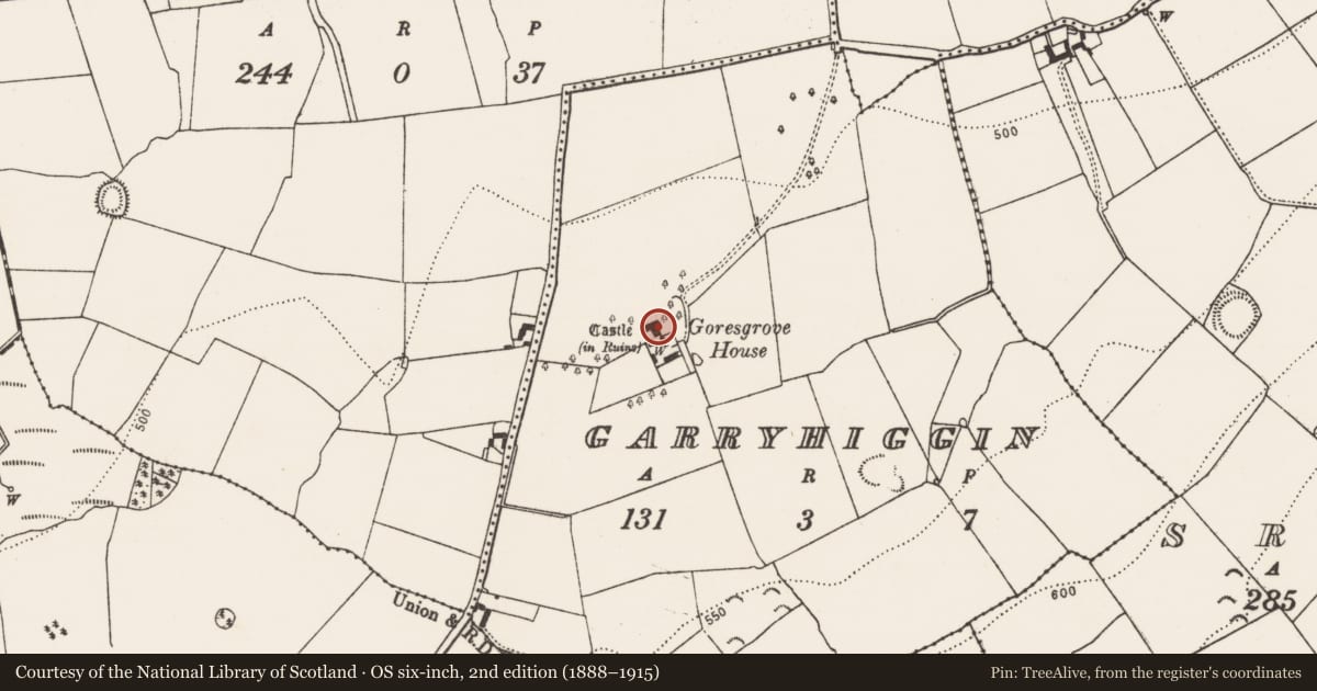 Ordnance Survey six-inch map, 2nd edition (1888–1915) covering the location of House - 17th century, Garryhiggin, County Kilkenny, with a pin at the register's coordinates