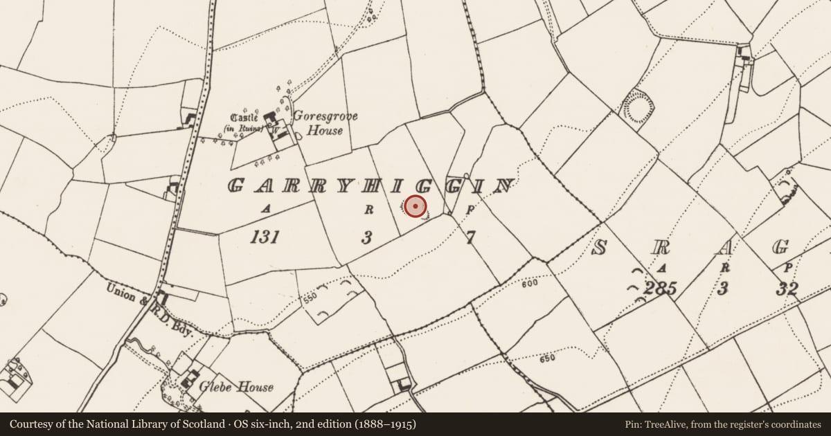 Ordnance Survey six-inch map, 2nd edition (1888–1915) covering the location of Enclosure, Garryhiggin, County Kilkenny, with a pin at the register's coordinates