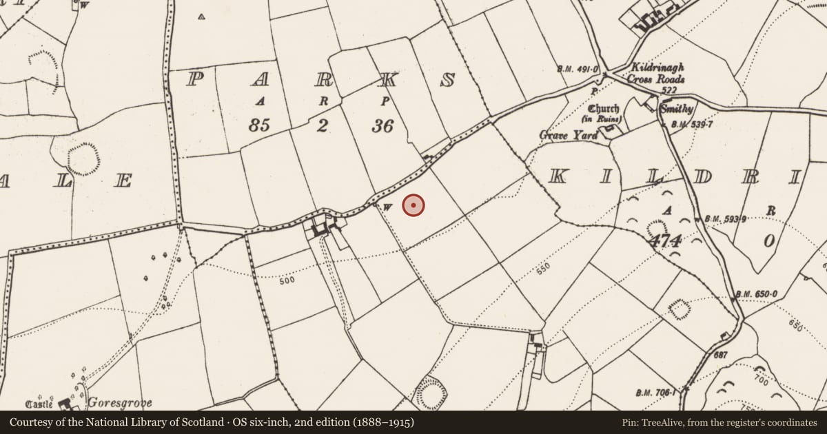Ordnance Survey six-inch map, 2nd edition (1888–1915) covering the location of Enclosure, Sragh, County Kilkenny, with a pin at the register's coordinates