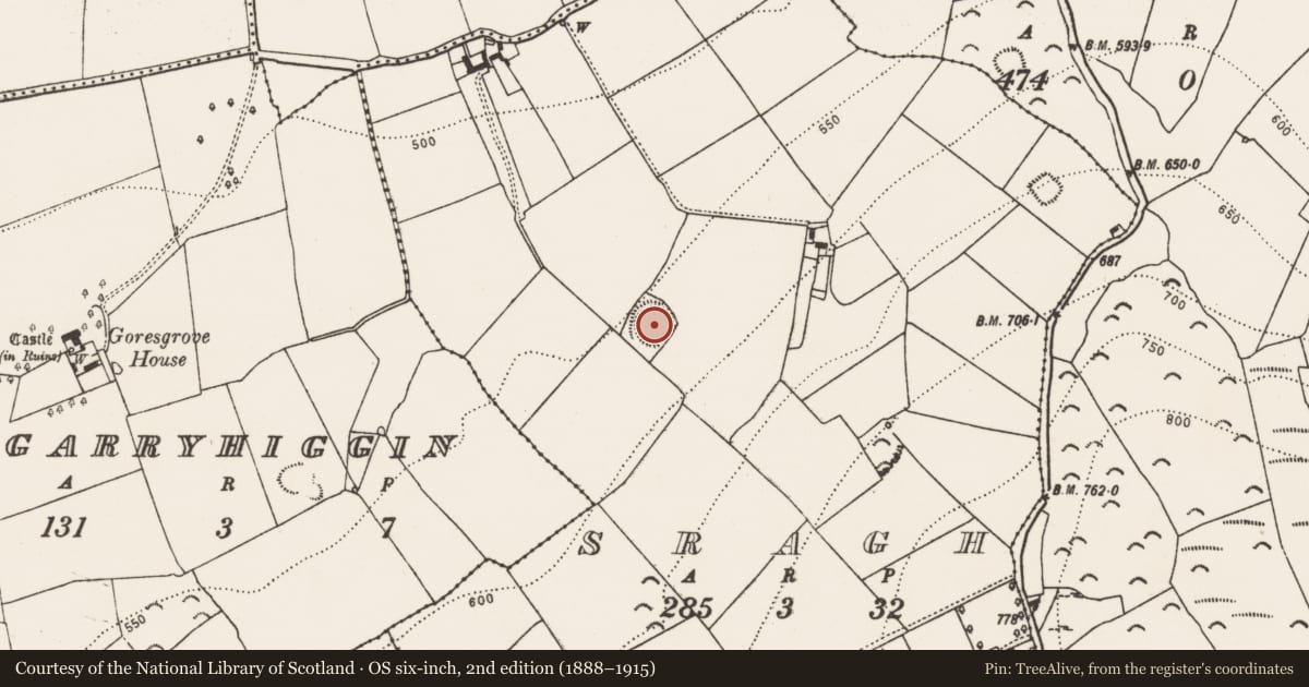 Ordnance Survey six-inch map, 2nd edition (1888–1915) covering the location of Enclosure, Sragh, County Kilkenny, with a pin at the register's coordinates
