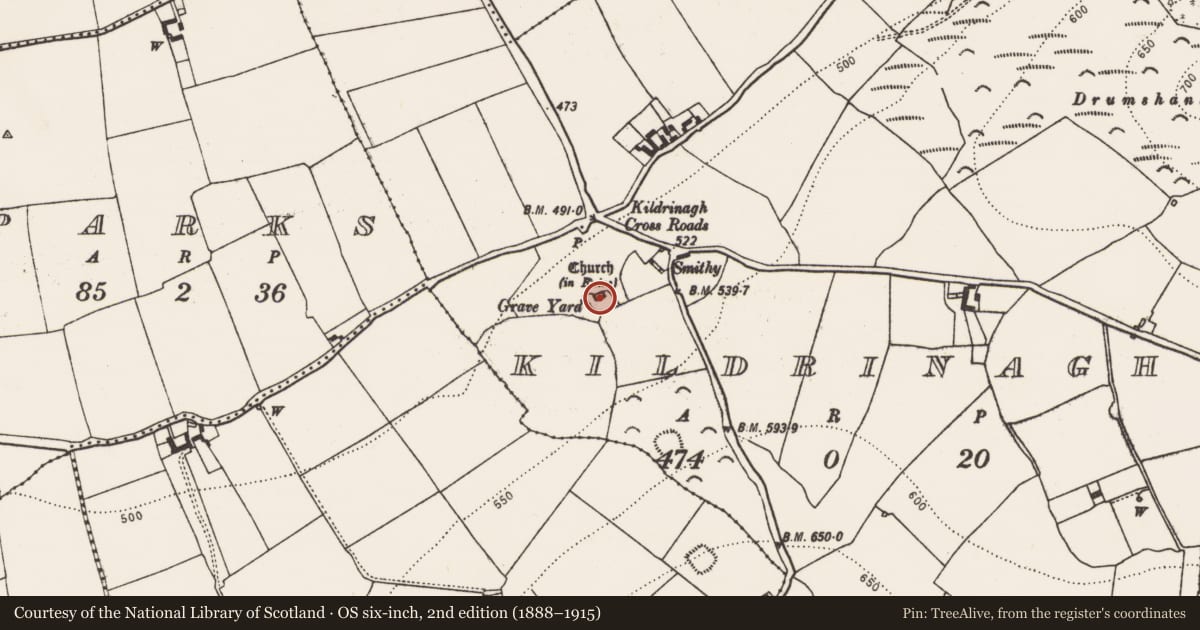 Ordnance Survey six-inch map, 2nd edition (1888–1915) covering the location of Church, Kildrinagh, County Kilkenny, with a pin at the register's coordinates