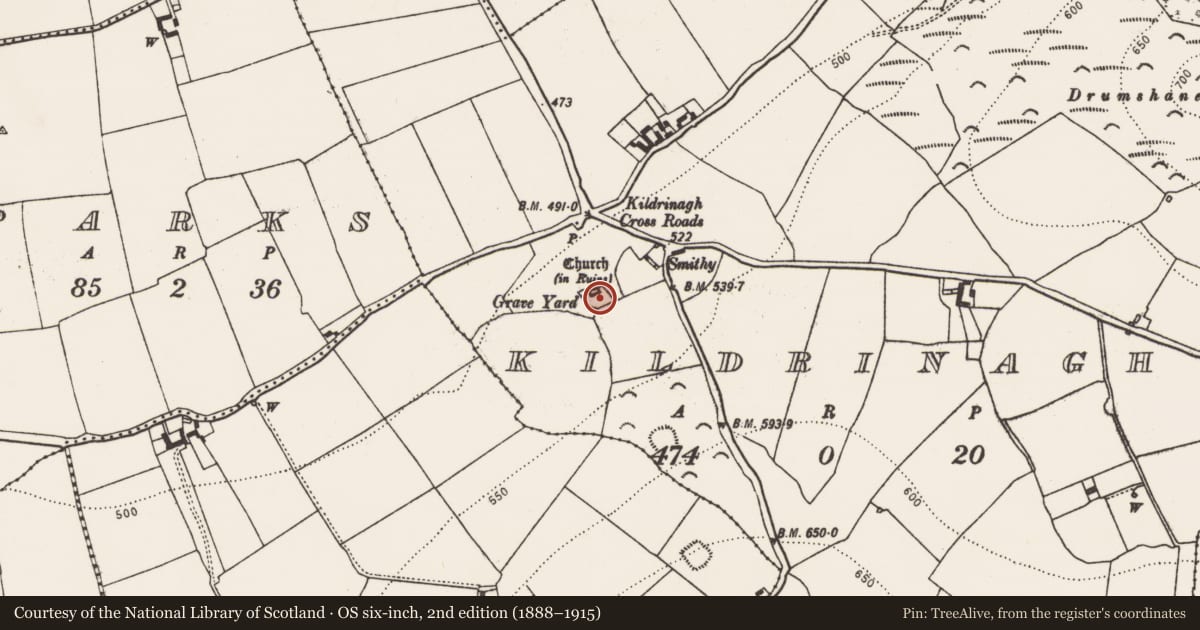 Ordnance Survey six-inch map, 2nd edition (1888–1915) covering the location of Graveyard, Kildrinagh, County Kilkenny, with a pin at the register's coordinates