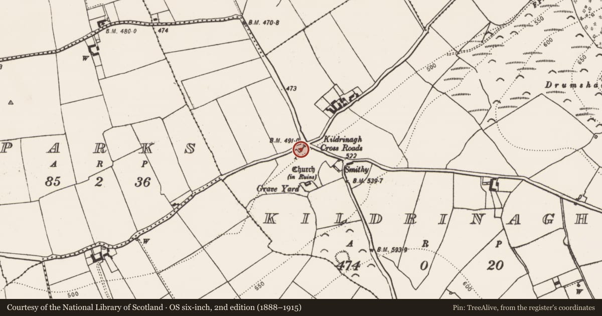 Ordnance Survey six-inch map, 2nd edition (1888–1915) covering the location of Well, Kildrinagh, County Kilkenny, with a pin at the register's coordinates