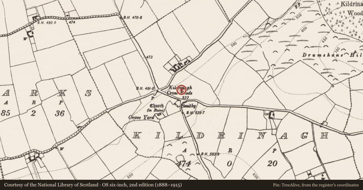 Ordnance Survey six-inch map, 2nd edition (1888–1915) covering the location of Settlement deserted - medieval, Kildrinagh, County Kilkenny, with a pin at the register's coordinates