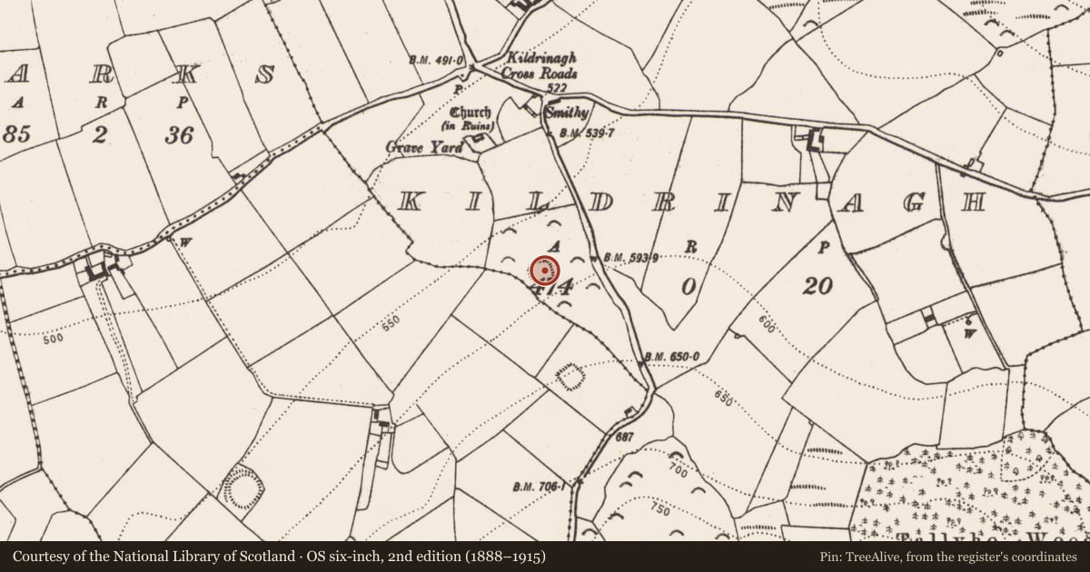 Ordnance Survey six-inch map, 2nd edition (1888–1915) covering the location of Enclosure, Kildrinagh, County Kilkenny, with a pin at the register's coordinates