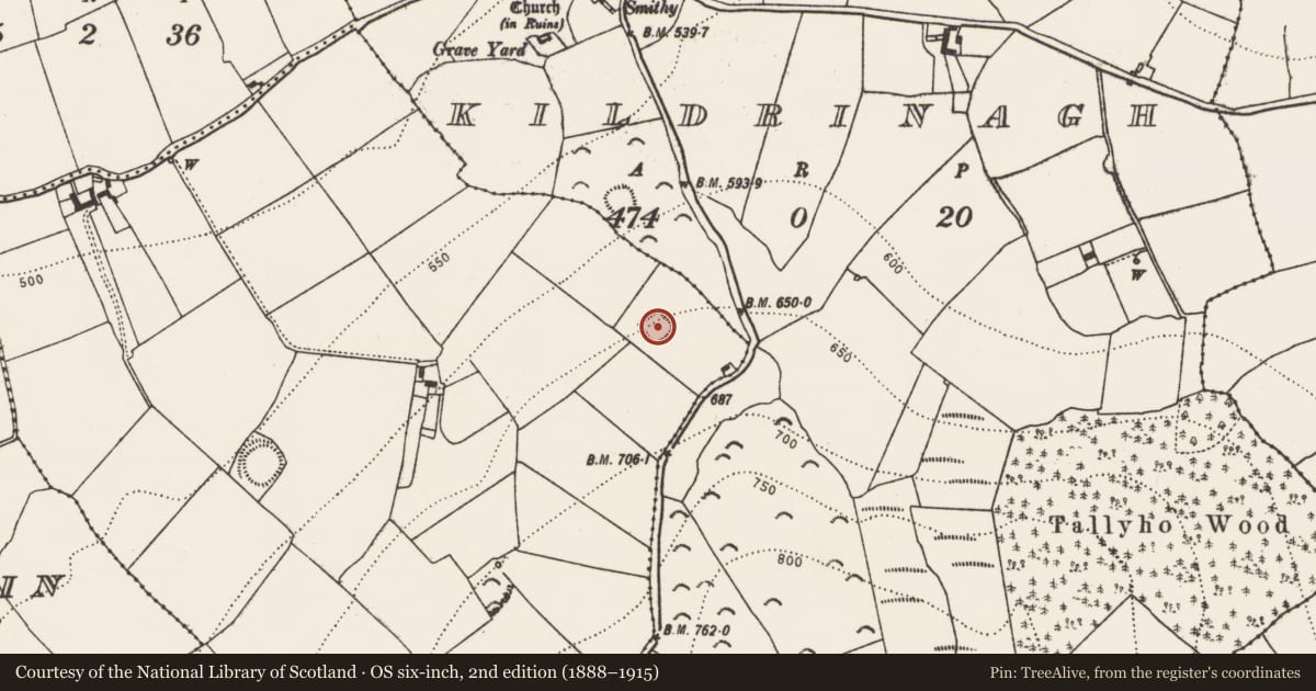 Ordnance Survey six-inch map, 2nd edition (1888–1915) covering the location of Enclosure, Sragh, County Kilkenny, with a pin at the register's coordinates
