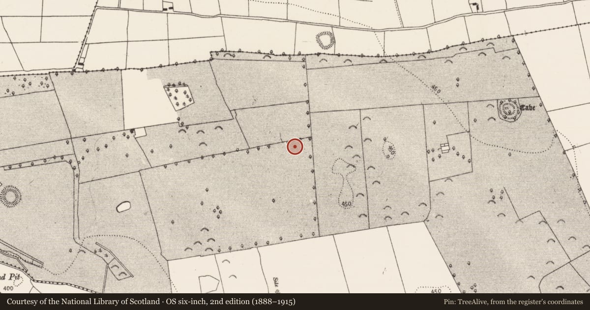 Ordnance Survey six-inch map, 2nd edition (1888–1915) covering the location of Megalithic tomb - portal tomb, Borrismore, County Kilkenny, with a pin at the register's coordinates