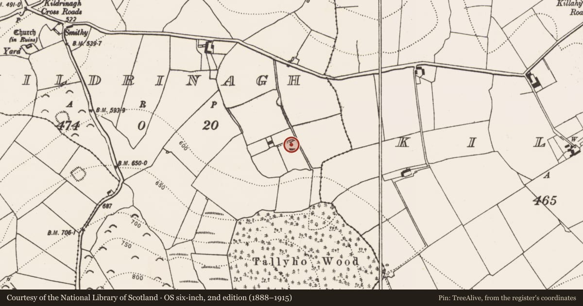 Ordnance Survey six-inch map, 2nd edition (1888–1915) covering the location of Ritual site - holy well, Kildrinagh, County Kilkenny, with a pin at the register's coordinates
