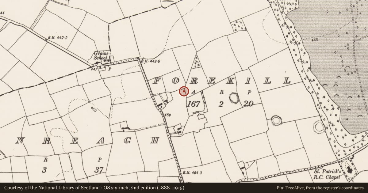 Ordnance Survey six-inch map, 2nd edition (1888–1915) covering the location of Cist, Forekill, County Kilkenny, with a pin at the register's coordinates