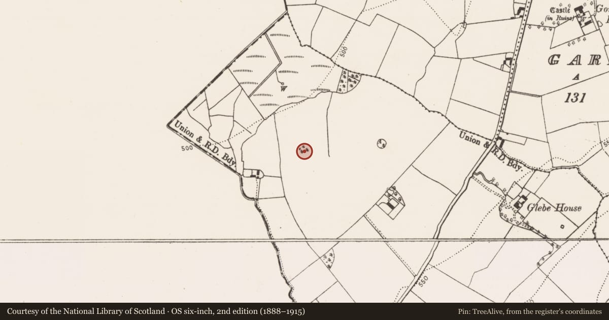 Ordnance Survey six-inch map, 2nd edition (1888–1915) covering the location of Enclosure, Newtown, County Kilkenny, with a pin at the register's coordinates