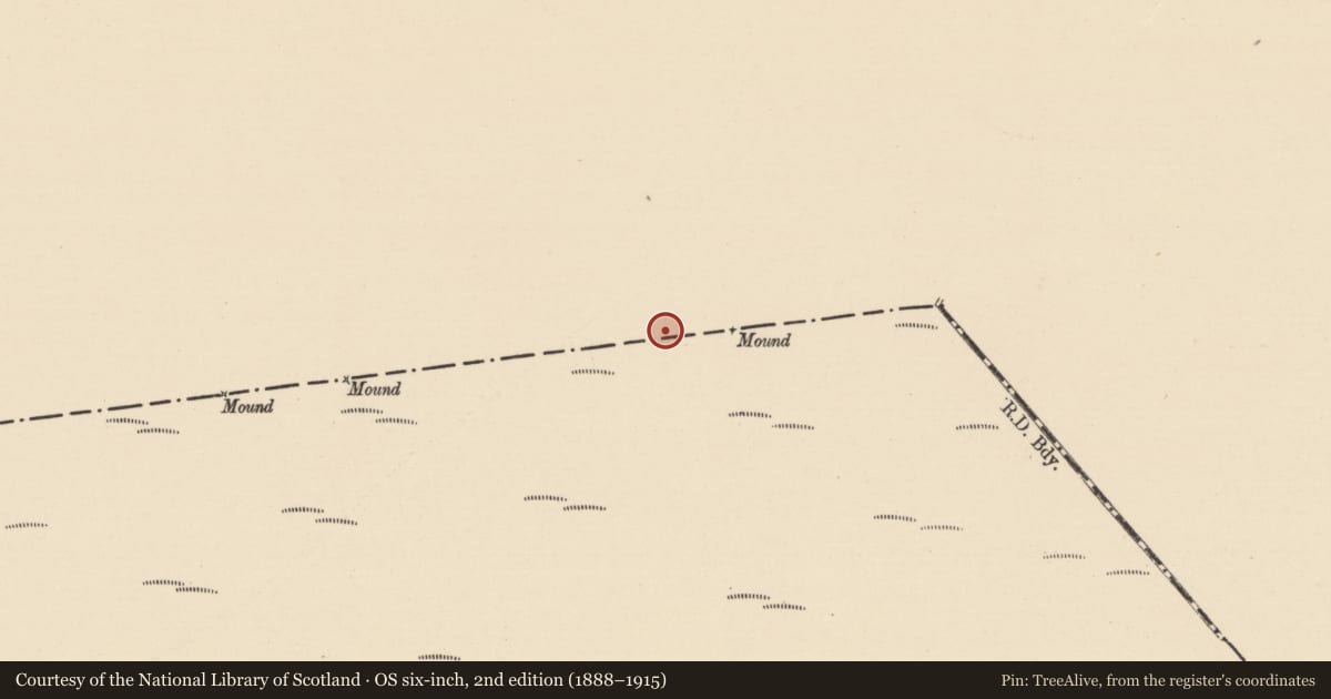 Ordnance Survey six-inch map, 2nd edition (1888–1915) covering the location of Road - unclassified togher, Baunmore, County Kilkenny, with a pin at the register's coordinates