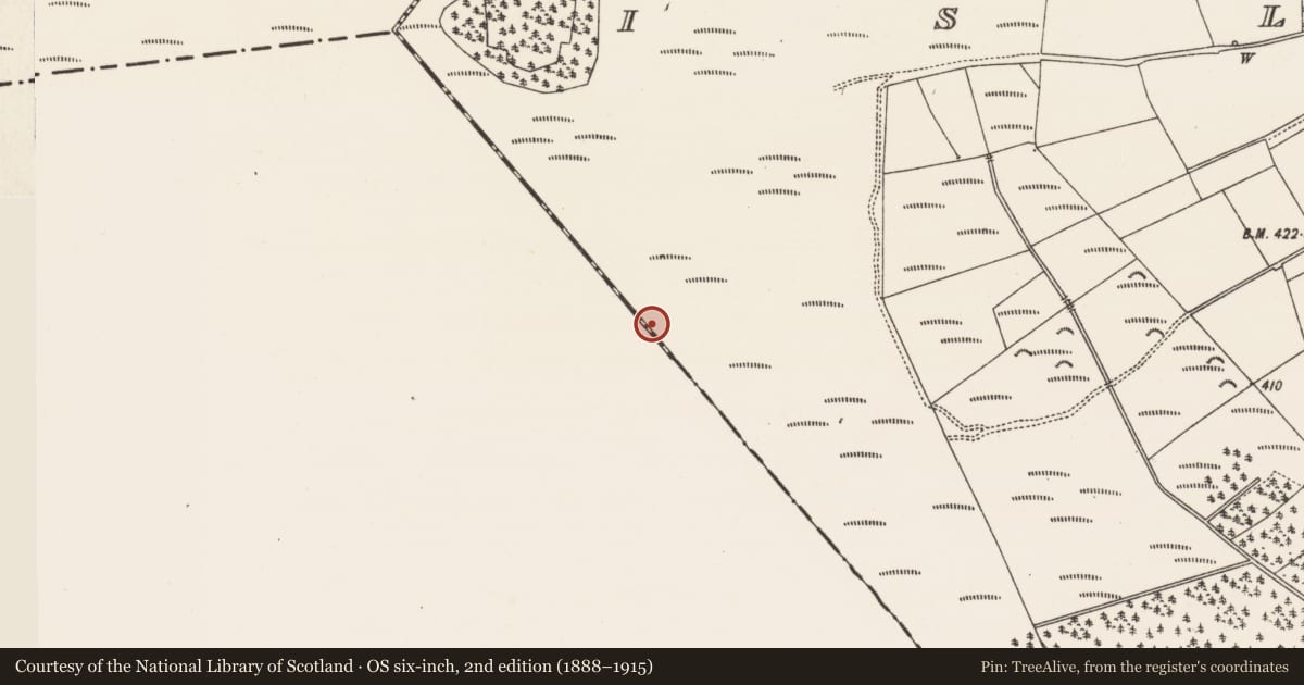 Ordnance Survey six-inch map, 2nd edition (1888–1915) covering the location of Road - class 1 togher, Islands, County Kilkenny, with a pin at the register's coordinates
