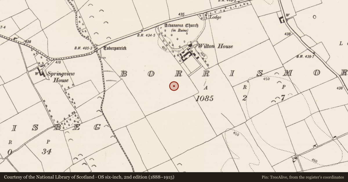 Ordnance Survey six-inch map, 2nd edition (1888–1915) covering the location of Enclosure, Borrisbeg, County Kilkenny, with a pin at the register's coordinates