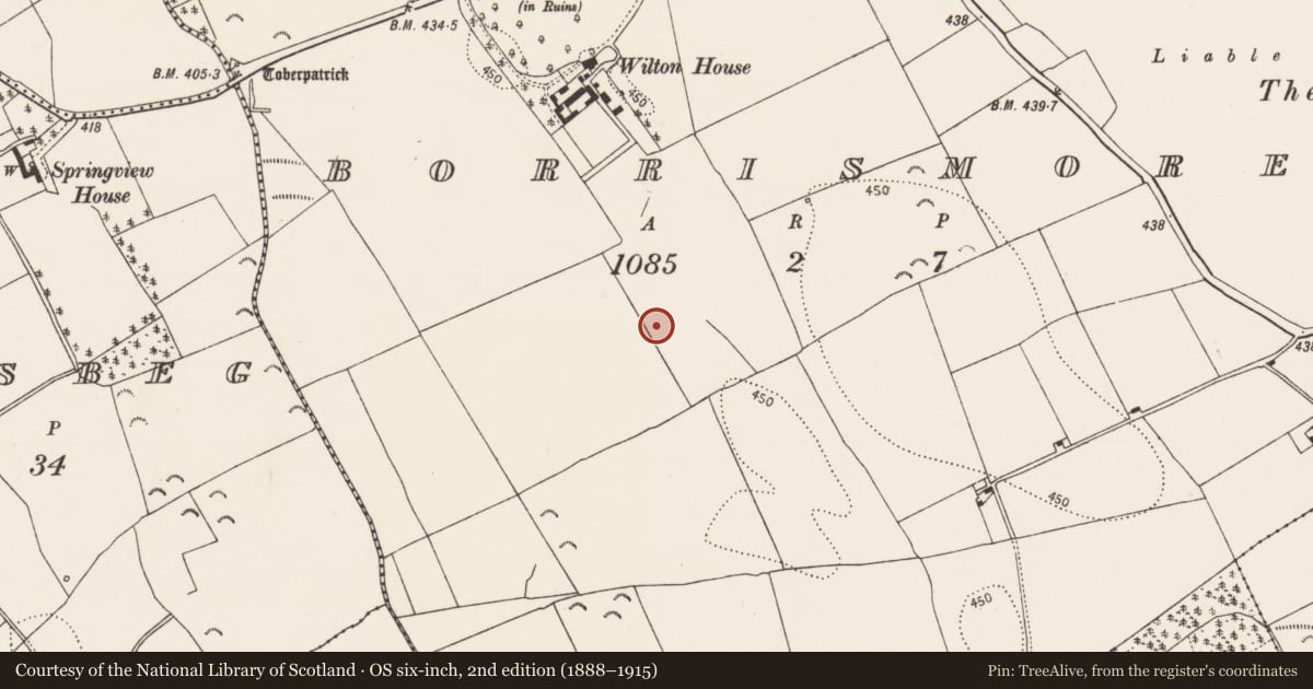 Ordnance Survey six-inch map, 2nd edition (1888–1915) covering the location of Field boundary, Borrismore, County Kilkenny, with a pin at the register's coordinates
