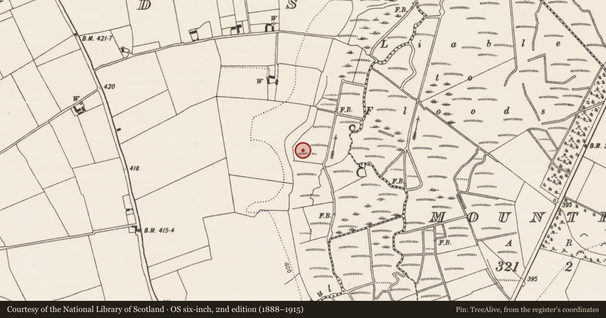 Ordnance Survey six-inch map, 2nd edition (1888–1915) covering the location of Fulacht fia, Islands, County Kilkenny, with a pin at the register's coordinates