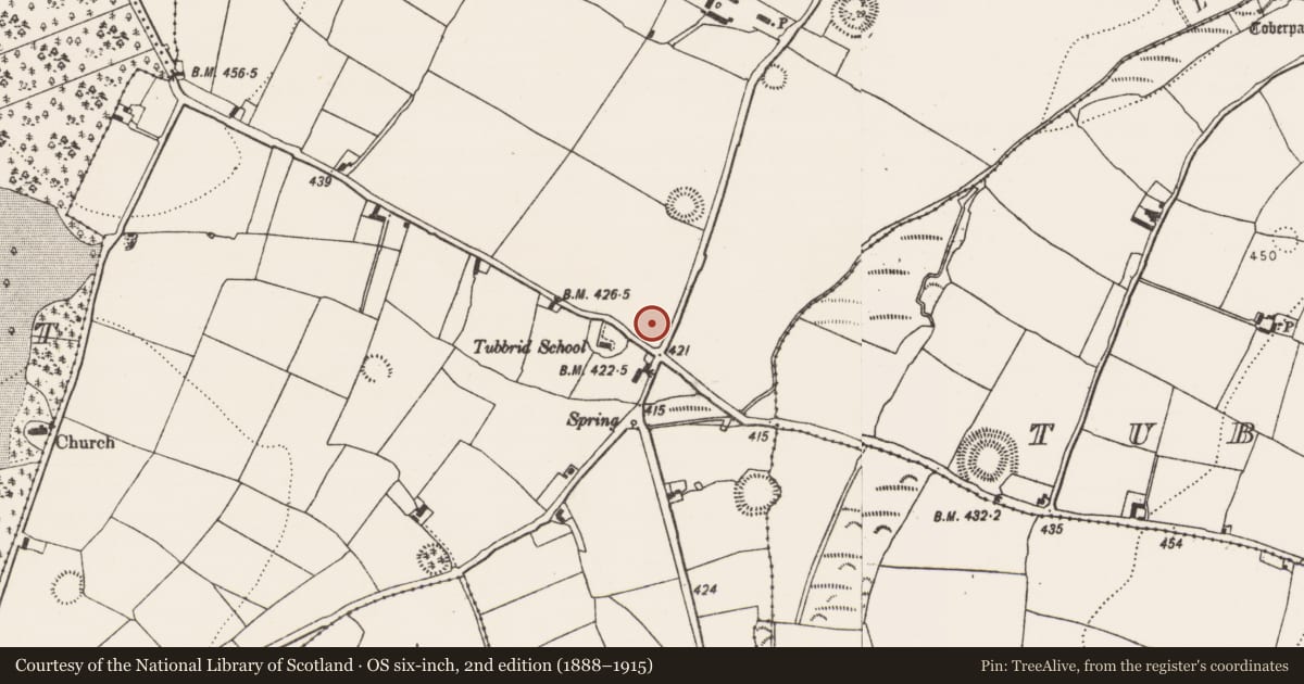 Ordnance Survey six-inch map, 2nd edition (1888–1915) covering the location of Enclosure, Tubbrid Lower, County Kilkenny, with a pin at the register's coordinates