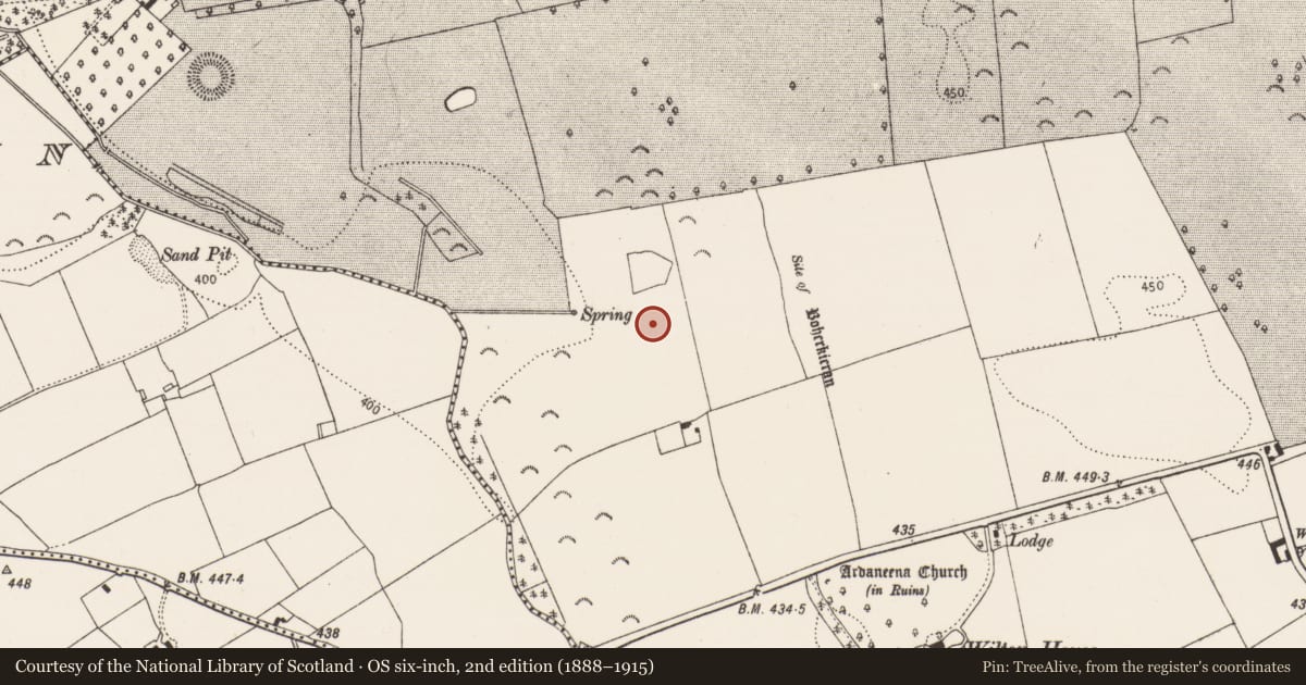 Ordnance Survey six-inch map, 2nd edition (1888–1915) covering the location of Enclosure, Borrismore, County Kilkenny, with a pin at the register's coordinates