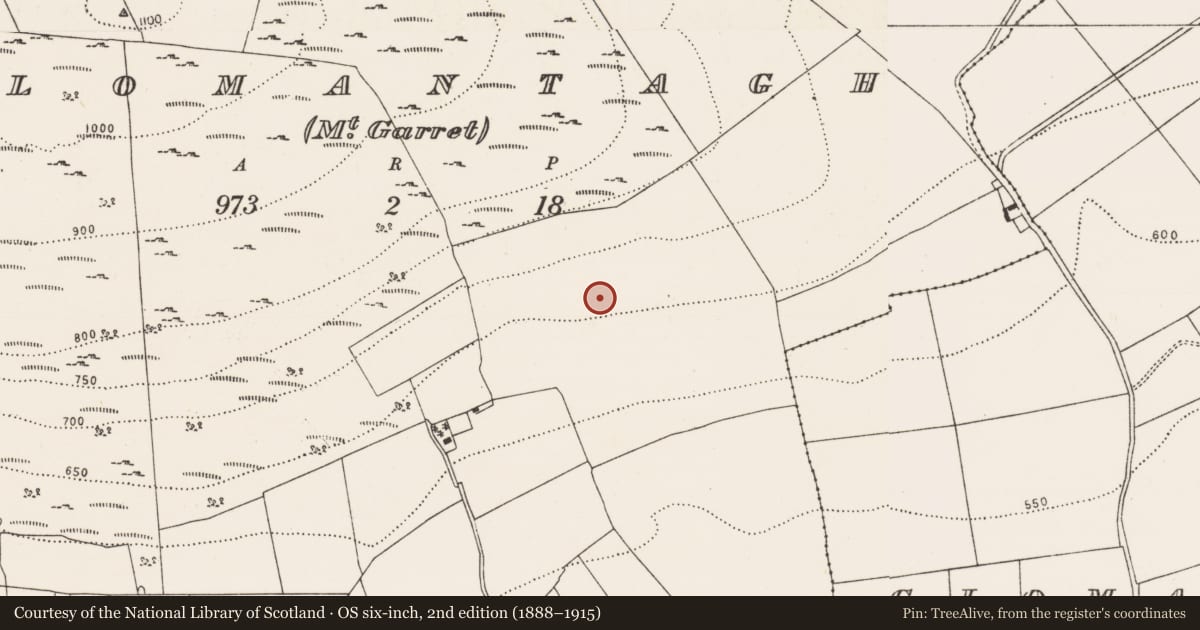 Ordnance Survey six-inch map, 2nd edition (1888–1915) covering the location of Enclosure - large enclosure, Clomantagh (Mountgarret), County Kilkenny, with a pin at the register's coordinates