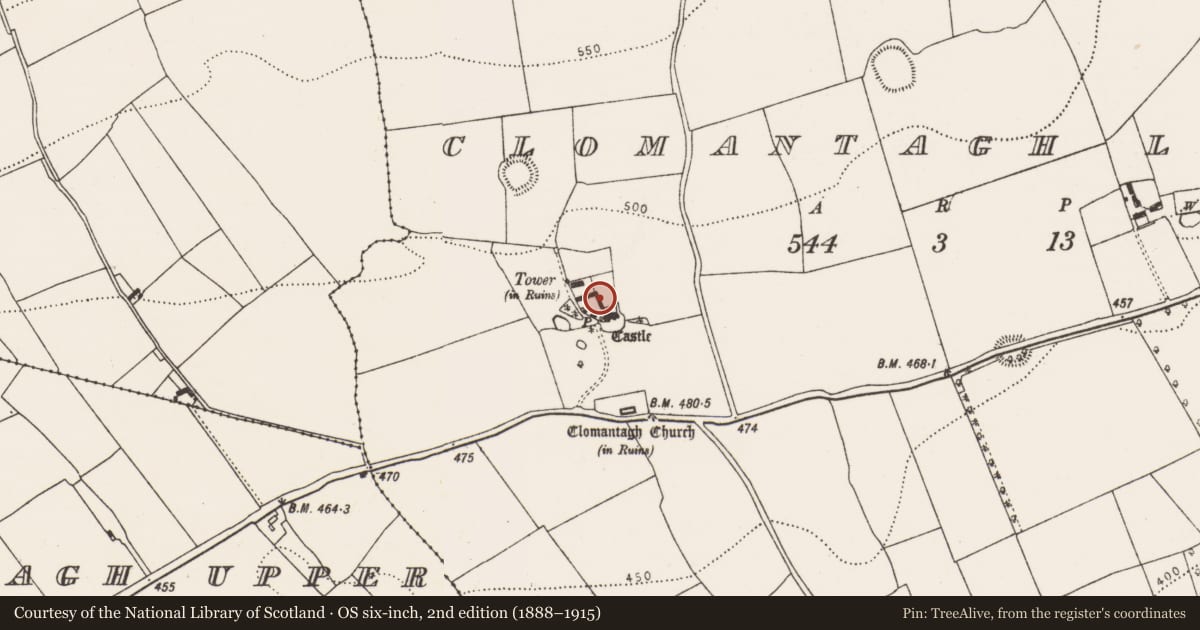 Ordnance Survey six-inch map, 2nd edition (1888–1915) covering the location of Bawn, Clomantagh Lower, County Kilkenny, with a pin at the register's coordinates