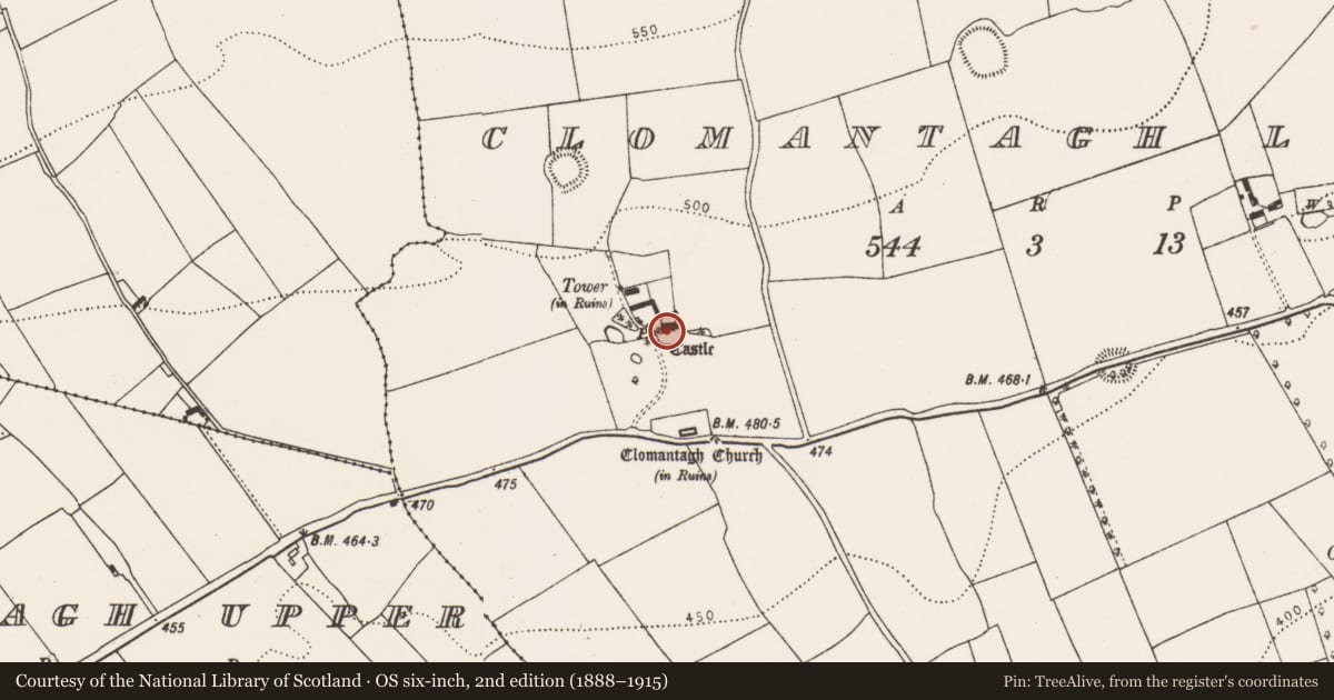 Ordnance Survey six-inch map, 2nd edition (1888–1915) covering the location of Sheela-na-gig, Clomantagh Lower, County Kilkenny, with a pin at the register's coordinates