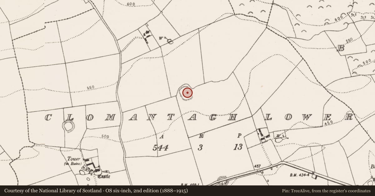 Ordnance Survey six-inch map, 2nd edition (1888–1915) covering the location of Ringfort - rath, Clomantagh Lower, County Kilkenny, with a pin at the register's coordinates